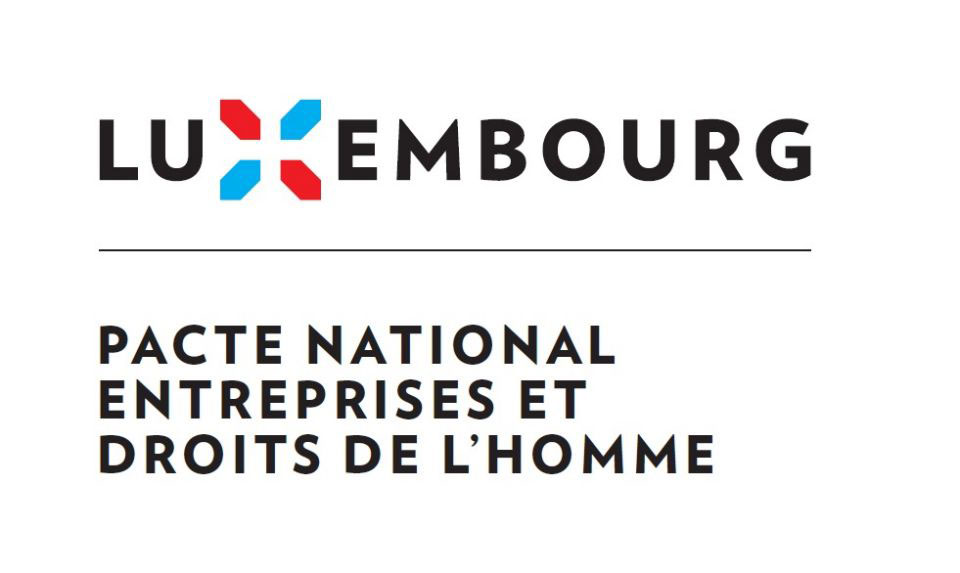logo pacte national entreprise et droits de l homme luxembourg