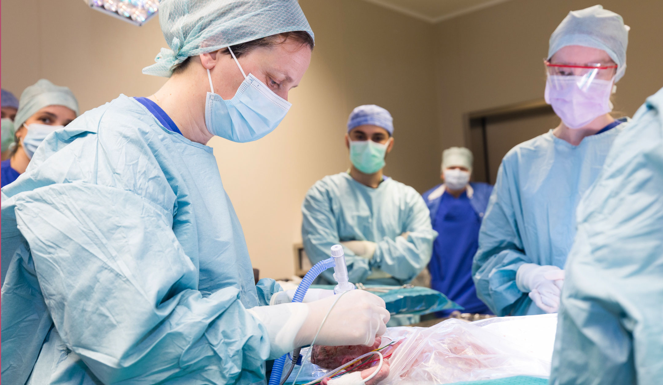 photo opération cordon intact