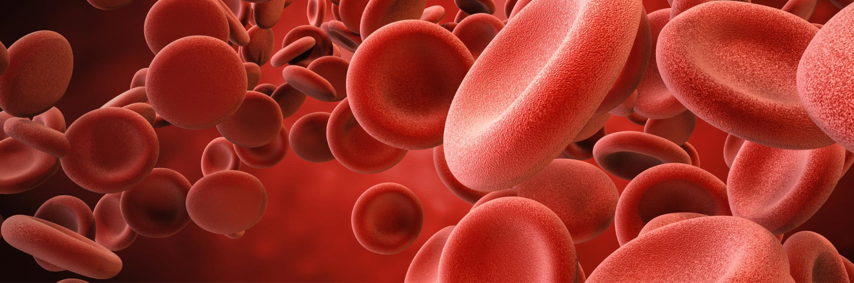 Retour à domicile suite à une biopsie ostéo-médullaire et myélogramme